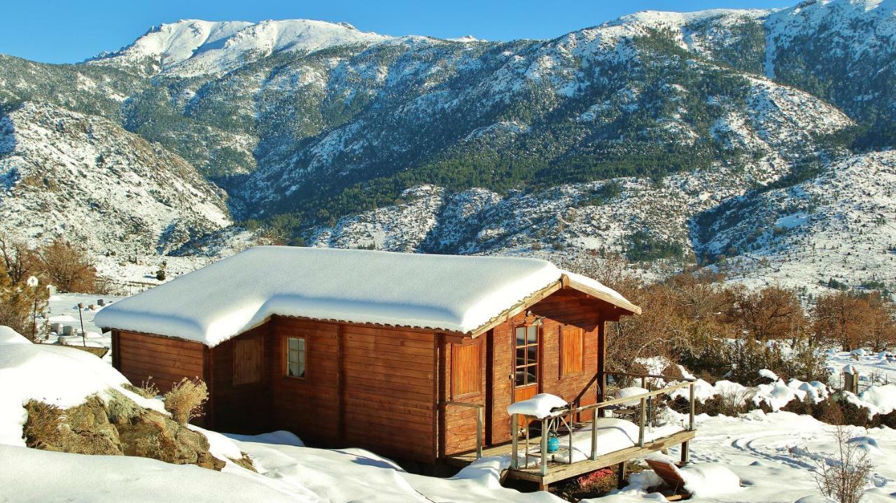 Les Chalets De Lozzi كالاكوتشا المظهر الخارجي الصورة